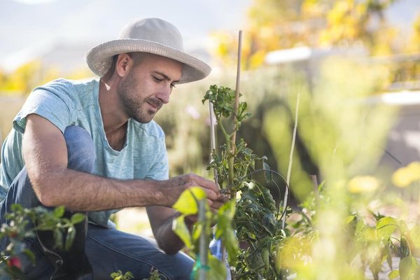 les nouveaux modes de cuisson tendance